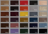 MASSACCESI - Suede Color Chart.jpg