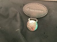 IMG_1242.jpeg