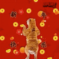 1643814079745.gif