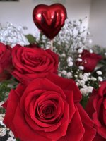 DC85CC15-96E8-4F1F-A3A8-988AF8D8245F.jpeg