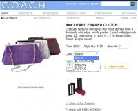 LizardFramedClutch8190_Ad2.jpg