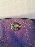 IMG_1550.jpg