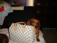 purse 027.jpg
