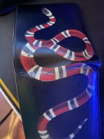 0354AC50-A3A2-4071-8B5D-260DF8D11C78.jpeg