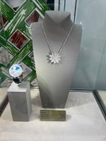IMG_6677.jpeg