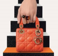 Lady Dior micro - yay or waste of money?