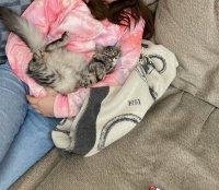 IMG_3610.jpeg