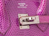 Hermes-Varanus-Niloticus-Lizard-Birkin.jpg