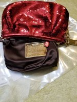 sequin inside 1.jpg