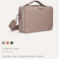 moynat camera bag.PNG