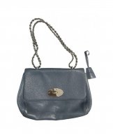 mulberry 1.jpeg