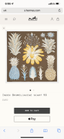 C75E1039-C695-4C69-B73F-517F4E00FCA1.png