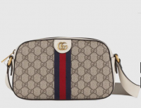 LV Double Zip Pochette Damier Azur or Gucci Ophidia Shoulder Bag