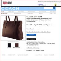 9819 Classic City Tote May 2000.JPG