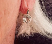 SG earrings.jpg