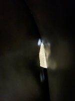 IMG_0691.jpg