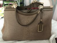 IMG_6105.jpeg