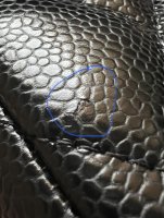 2A4D7E53-96F8-437E-AB65-E91E8EF4C32A.jpeg