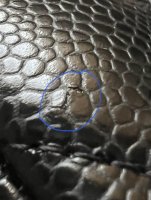 436DD6ED-9AB1-4DF3-8556-424C3844E145.jpeg