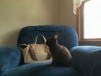 Easter2020_001b.jpg