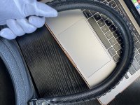 IMG_8007.jpeg