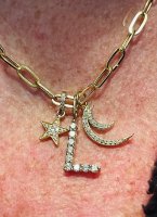 charm necklace.jpg