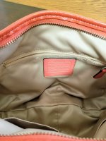 Coach Khaki Interior 1.jpg
