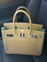 BirkinSO.JPG