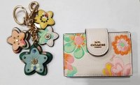charm and card case 20220423_231327.jpg