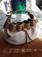 20220428_090206.jpg