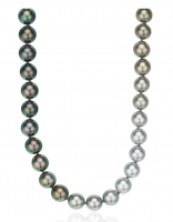 1651330528987.png