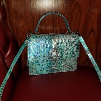 Brahmin mini Francine wonderland 20211102_134609.jpg