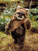 Ewok.jpg