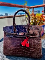 multi croc birkin.jpeg