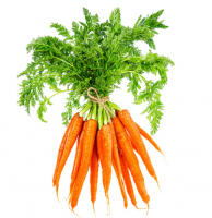 1651930236937.png