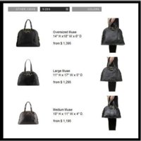 post pics of YSL MUSE bags here PurseForum
