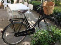 bicycle - 1.jpg