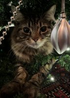 E9F1BE0C-8011-4AEE-A7F3-BCB11AD70443.jpeg