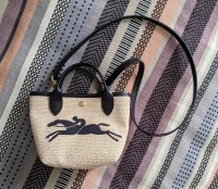 longchamp new bag.jpg