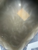 295B7079-5B9C-4187-BFAA-B0B325E226E5.jpeg