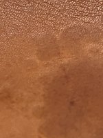86B95629-5E13-4C09-9607-65CA9238C952.jpeg