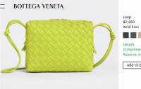 Bottega Veneta loop bag mini review – Bay Area Fashionista