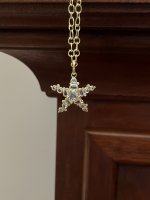TSC Sea Star 3.jpg