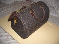 Mini Lin Speedy 30 -2.JPG