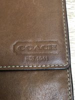IMG_3915.jpeg