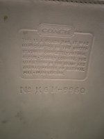IMG_7832.jpeg