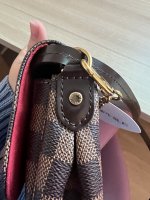 IMG_3252.jpeg
