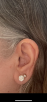 Ear.PNG