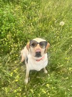 772D8785-F023-4565-80C7-9DF859D2DF9F.jpeg