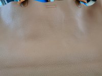 IMG_20220618_133654.jpg